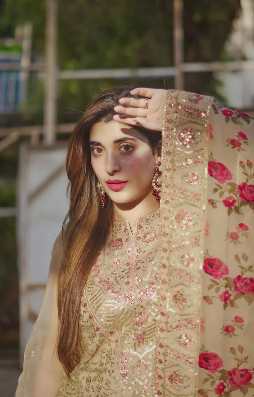 Aneela’s Hit Code by Ahmozi